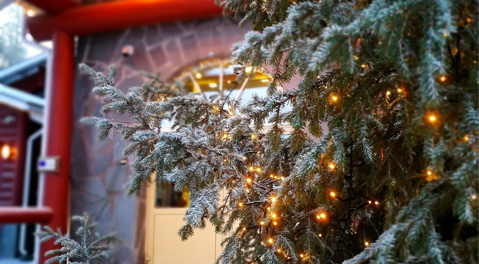 Frost-dusted spruce branches strung with warm fairy lights in Rovaniemi