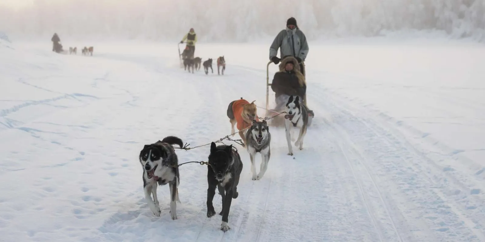 Husky team running along a groomed Arctic trail