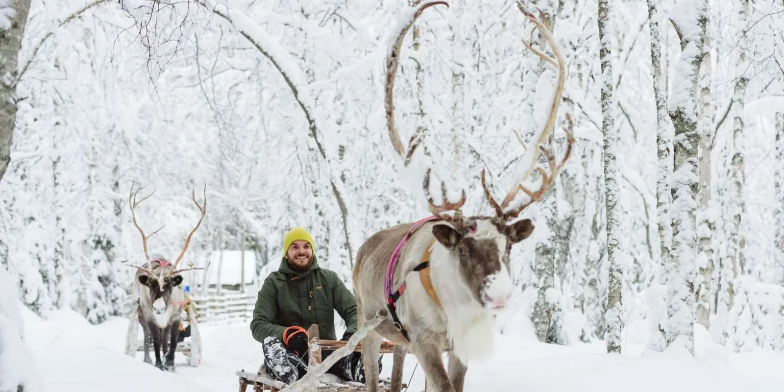 Husky sled ride at a local farm near Rovaniemi