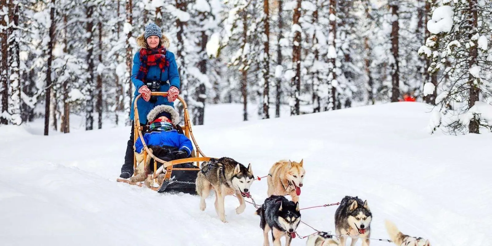 Reindeer sleigh ride on a Santa Claus Village combo tour