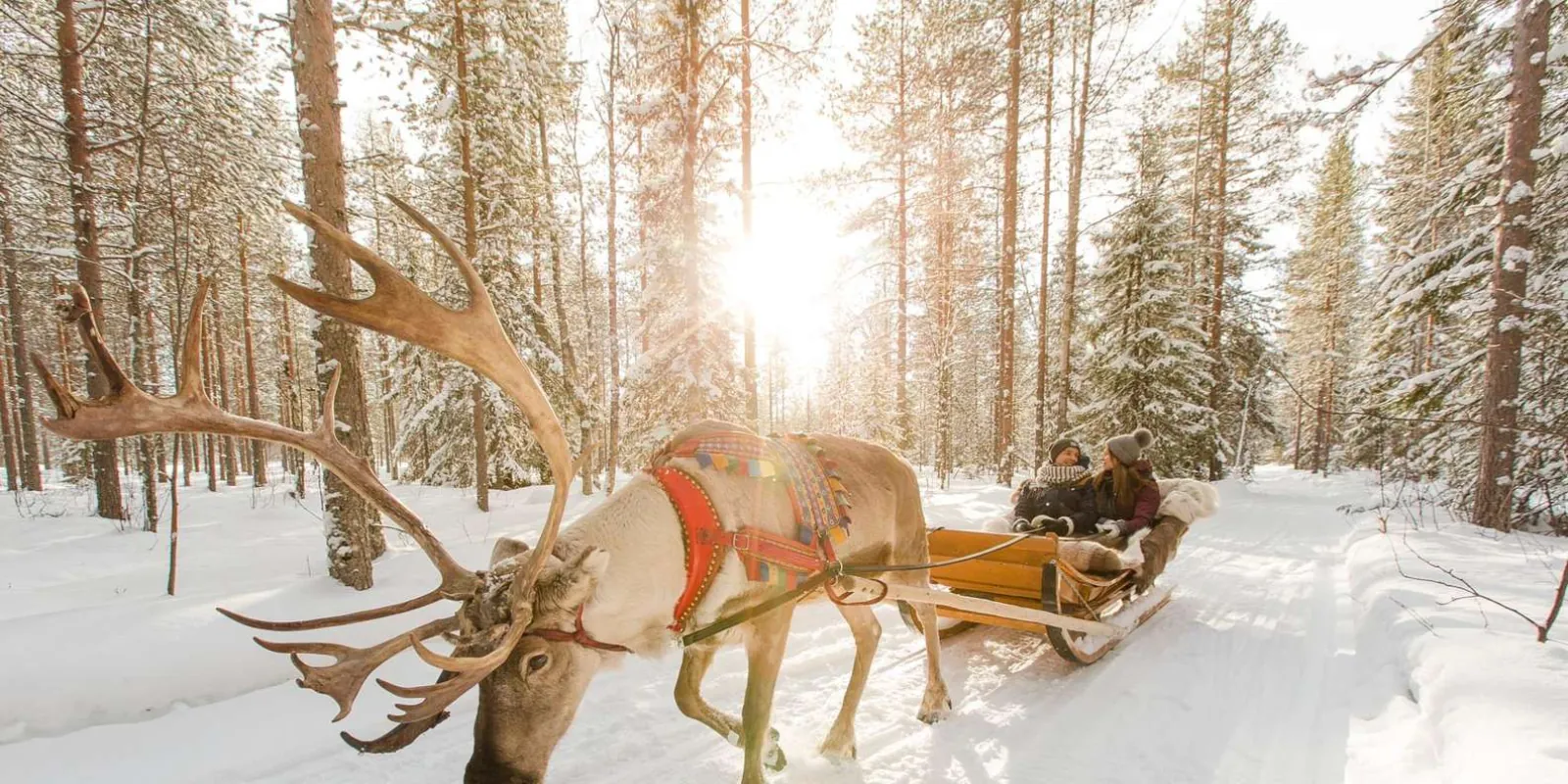 Santa Claus Village and the Arctic Circle in winter