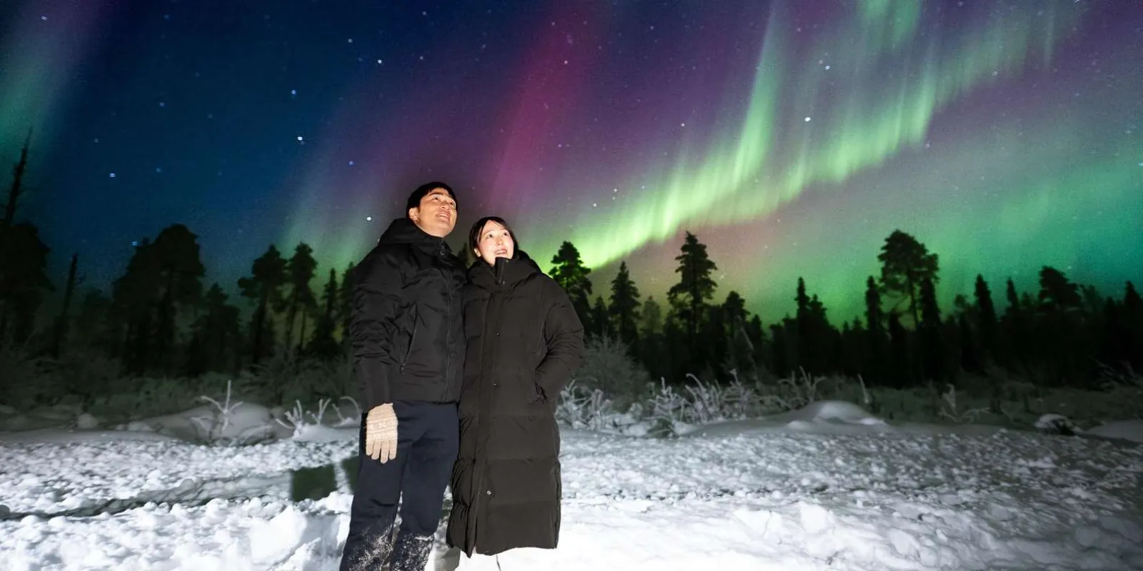 Vivid aurora borealis reflected above frozen Lapland trees