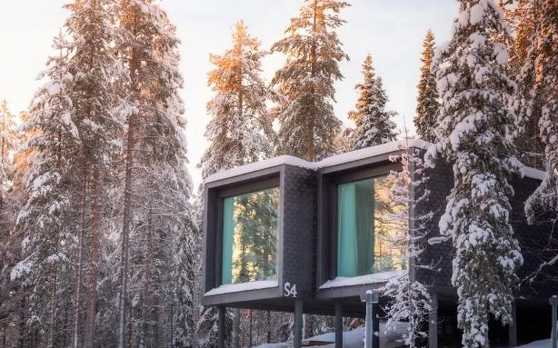 Arctic TreeHouse Hotel suite with a glass front among snowy spruce trees